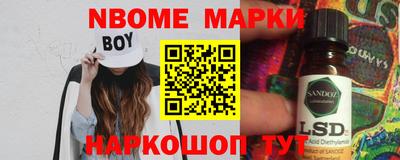 амф Сланцы