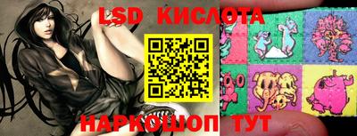 амф Сланцы