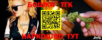 амф Сланцы