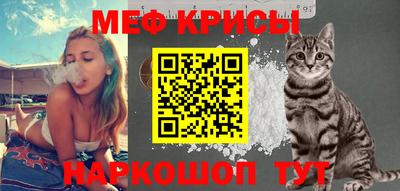 амф Сланцы