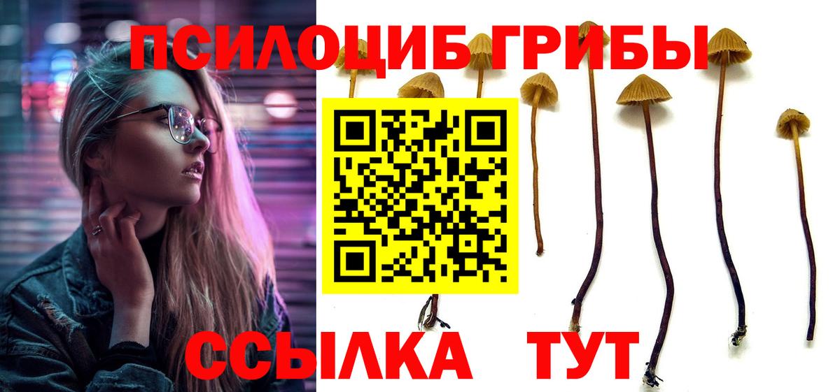 Галлюциногенные грибы Magic Shrooms Павловский Посад