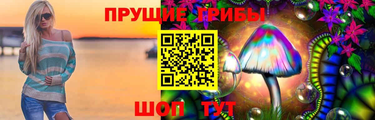 Галлюциногенные грибы Cubensis  Вход с VPN  Павловский Посад 